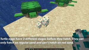 How To Get Turtle Eggs In Minecraft