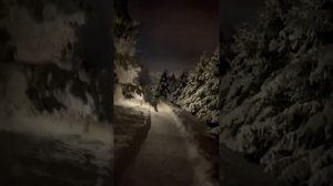 Зимний сад, зимний сад, белым пламенем объят…