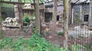 Калининградский зоопарк. 29 мая 2023