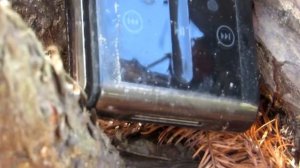 Look Back AT Philips: GoGear Jukebox HDD1630  MP3 PLAYER