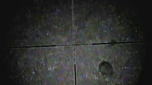 Ночная охота на барсука с самодельным ПНВ, без убийства