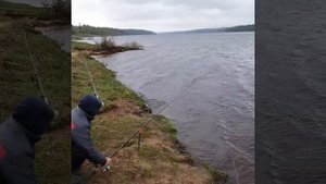 Весенняя ловля на фидер. р. Волга.