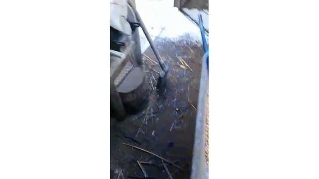 #158 Комбикорм для цыплят с первых дней жизни.#цыплята #комбикорм #старт смотреть онлайн