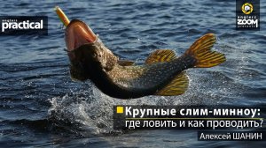 Рыбалка Крупные слим-минноу: где ловить и как проводить? Алексей Шанин. Anglers Practical