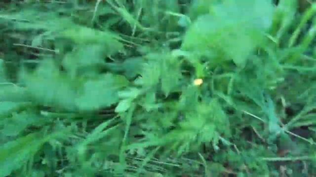 Косилка к мотоблоку КН - 1,1 смотреть онлайн