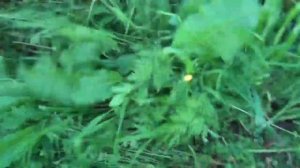 Косилка к мотоблоку КН - 1,1