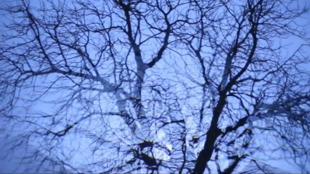 АрХангел - Соц сеть (Никита Дрожжин) смотреть онлайн