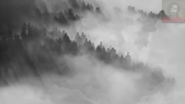 Истории на ночь - Нашествие смотреть онлайн