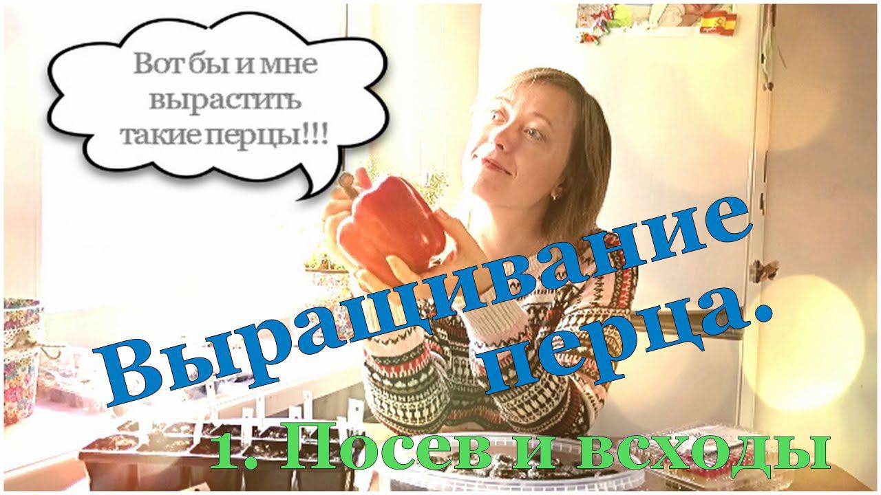 СУПЕР простой способ посева перца!!! Выращивание перца. 1. Посев и всходы перца