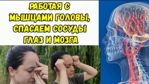 2 височно-носовых упражнения, которые спасают и укрепляют сосуды глаз и мозга