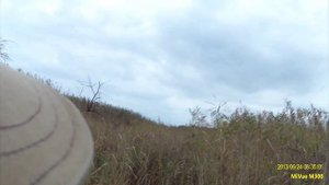 Охота на уток с карабином "Сайга 12".