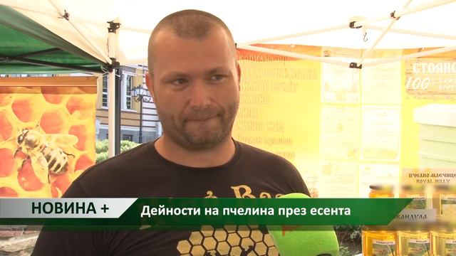 Новина плюс: Дейности на пчелина през есента, автор: Камелия Карадочева смотреть онлайн