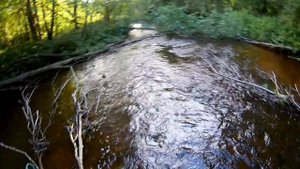 Кастинговая сеть на лесной речке  и эксперимент заброс одной рукой!