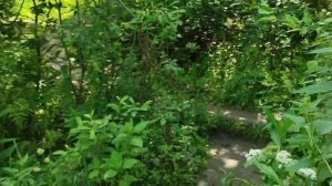 ДОСТОПРИМЕЧАТЕЛЬНОСТИ НОВОСИБИРСКА. ОЗЕРО ЛЕСНОЕ НА МЖК