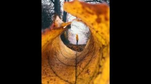 ТОП классных идей для фото осенью?|| Идеи для фотосессии ?