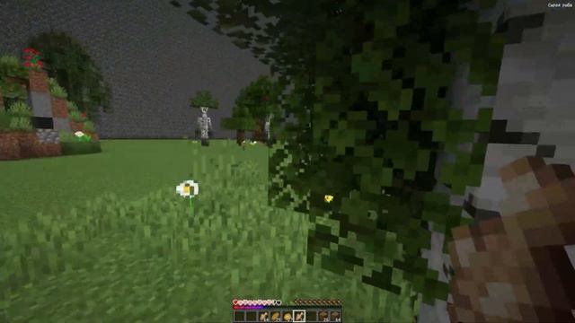 Как сделать ПОРТАЛ В МИР ЛУНТИК.EXE В МАЙНКРАФТ MINECRAFT ТРОЛЛИНГ ЛОВУШКА MINECRAFT ROLEPLAY смотреть онлайн