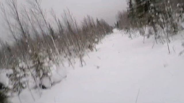 До избы и поновому усу в целяк. В поисках интересного. смотреть онлайн