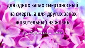 А вы спасены? Ответьте себе на этот вопрос, христиане. Не нужно мудрствовать лукаво, ДА, или НЕТ?