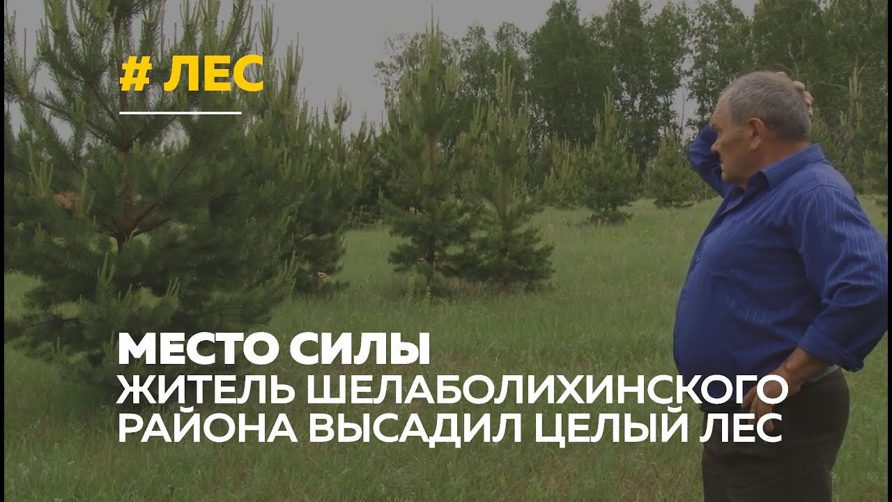 На Алтае мужчина высадил около 10 тысяч деревьев
