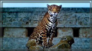 Восточная музыка... скрипка