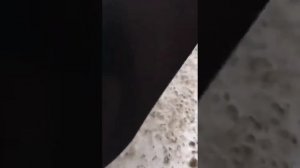 Задняя крышка багажника мазда 3 бк седан Mazda bk