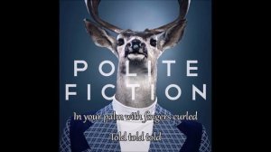 Polite Fiction - Perspective