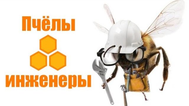 Пчёлы-инженеры (Момент Творения)