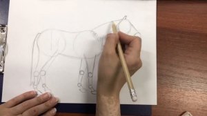 Дистанционный мастер-класс ИЗО для детей «Рисуем лошадь"