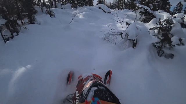 #мишапрокати Открывать сезон дальневосточного снегоходинга или еще рано? Ноябрь. Снега нет! смотреть онлайн