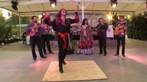 Артур Богданов и ансамбль "Дороги Ромэн"