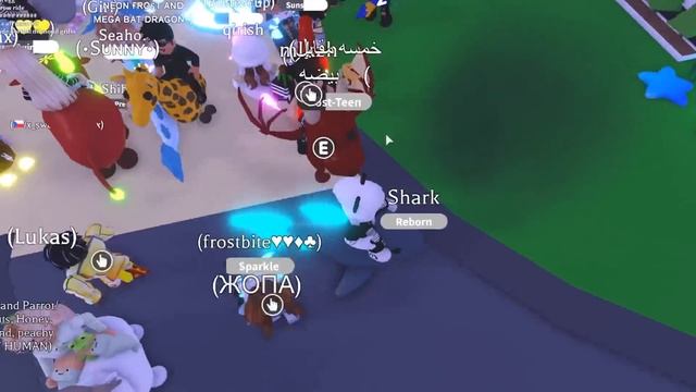 Что ДАДУТ за НЕОНОВУЮ АКУЛУ в Роблокс Адопт Ми? ТОП Трейды в Roblox Adopt Me смотреть онлайн