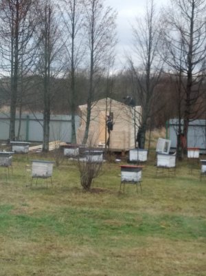 Апидомик с нуля (стадии строительства).