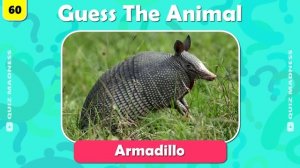 Guess 120 Animals in 3 Seconds (Animal Quiz) - Easy to Hard