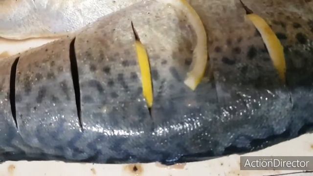 ✔Используйте печку не только для обогрева помещения, шикарная рыба горячего копчения уже на столе смотреть онлайн