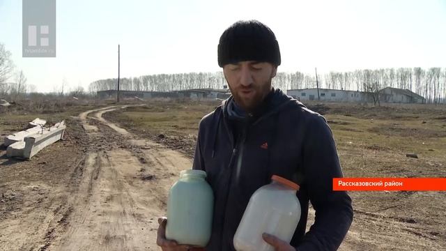 Коров симментальской породы выращивает фермер из Тамбовской области