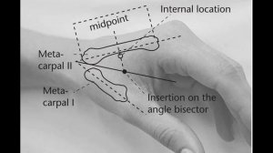 Тибетский лечебный массаж шеи при остеохондрозе
