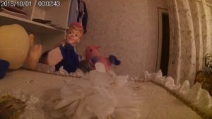 ПЕТУШОК И БОБОВОЕ ЗЕРНЫШКО