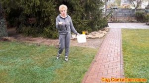 Создаём каменистый садик.Критика Советы.Почему именно так расположила растения.Красивый сад своими.