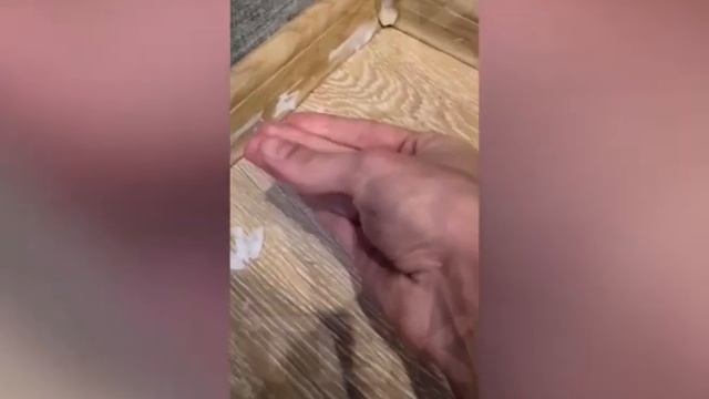 В Красноярске из за морозов стены промерзли насквозь смотреть онлайн