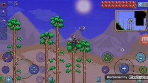 Как в игре Terraria зайти в храм джунглей без ключ и баг