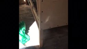 Строительство курятника