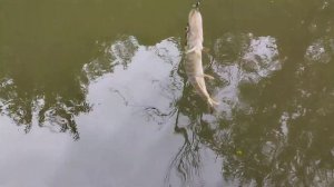 Рыбалка на Яхроме🔥👍