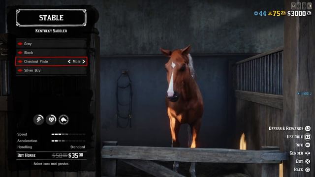 Red Dead Online Weekly Update with a Lot of Discounts смотреть онлайн