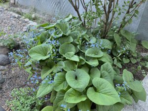 Начала уборку сада?