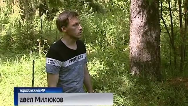 В рубрике «Путёвка в детство» - пионерский лагерь «Буревестник»