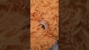 4 часть попи плей тайм