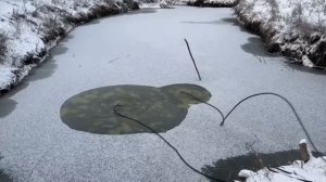 Аэрация пруда с рыбой зимой