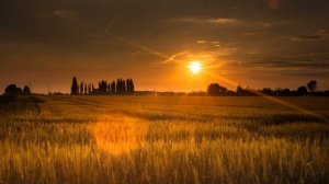 САМЫЕ КРАСИВЫЕ ФОТОГРАФИИ ПРИРОДЫ 8