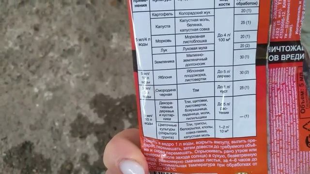 Осень??, паутинный клещ? Эффективная борьба с паутинным клещом?#монстера