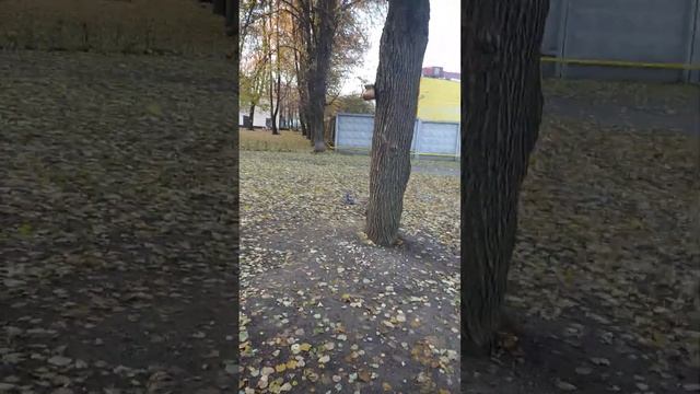 Бклочка(2) смотреть онлайн